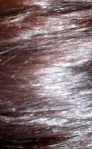 Estelle Frosty Chestnut