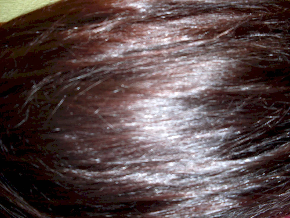 Estelle Frosty Chestnut