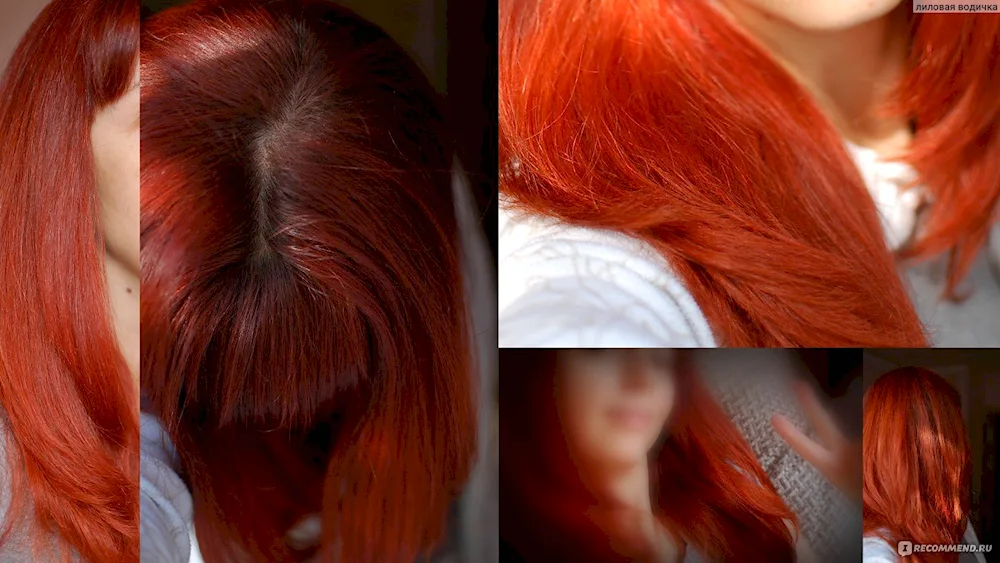 Estel Ruby 75 on hair