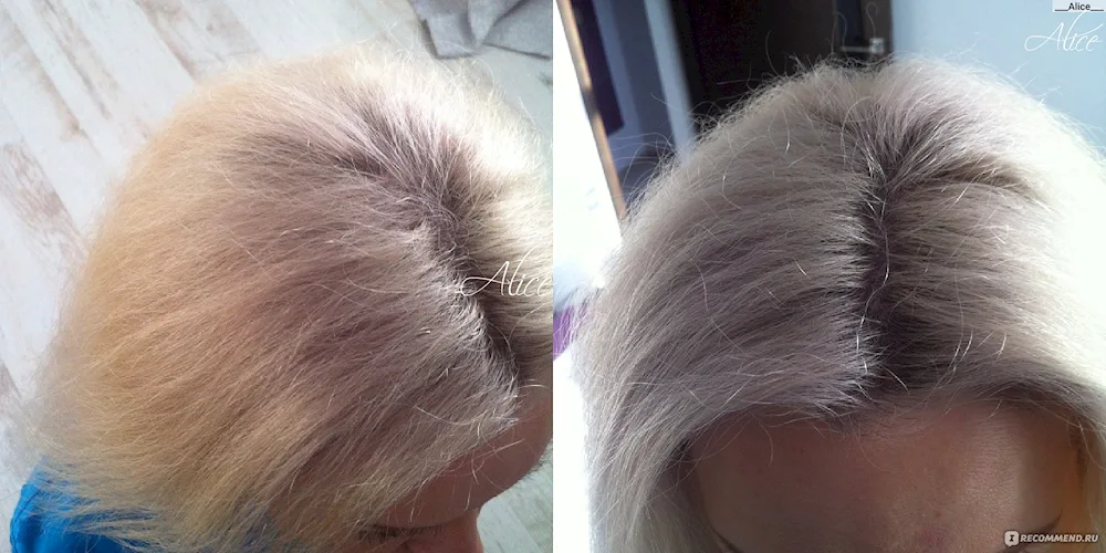 Cool beige blonde dye