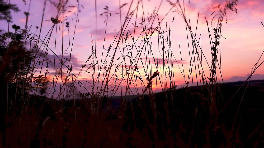 Esthetics nature
