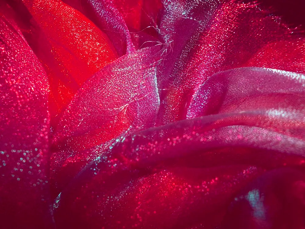 Beautiful flowers