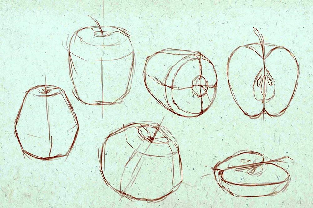 Academic. Stroganovka linear constructive still life