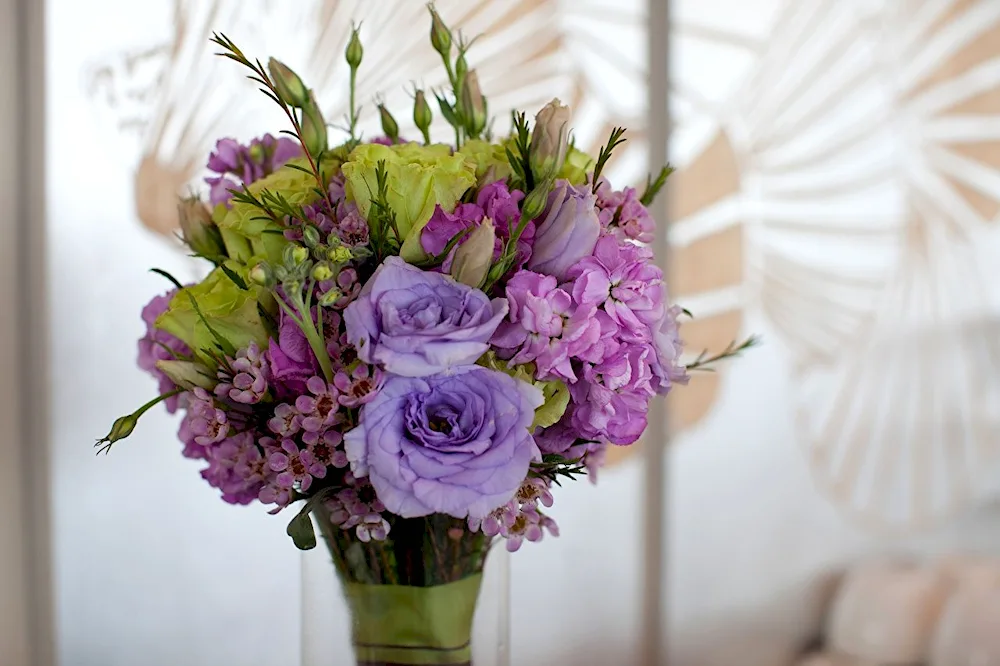 Eustoma Lisianthus