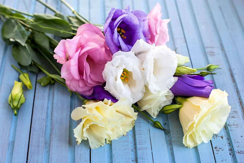 Lisianthus eustoma freesia bouquet