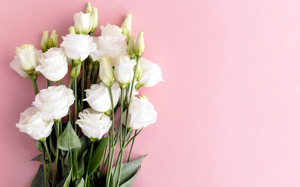 Hortensia and eustoma bouquet