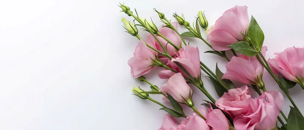 Mattiola lisianthus bouquet