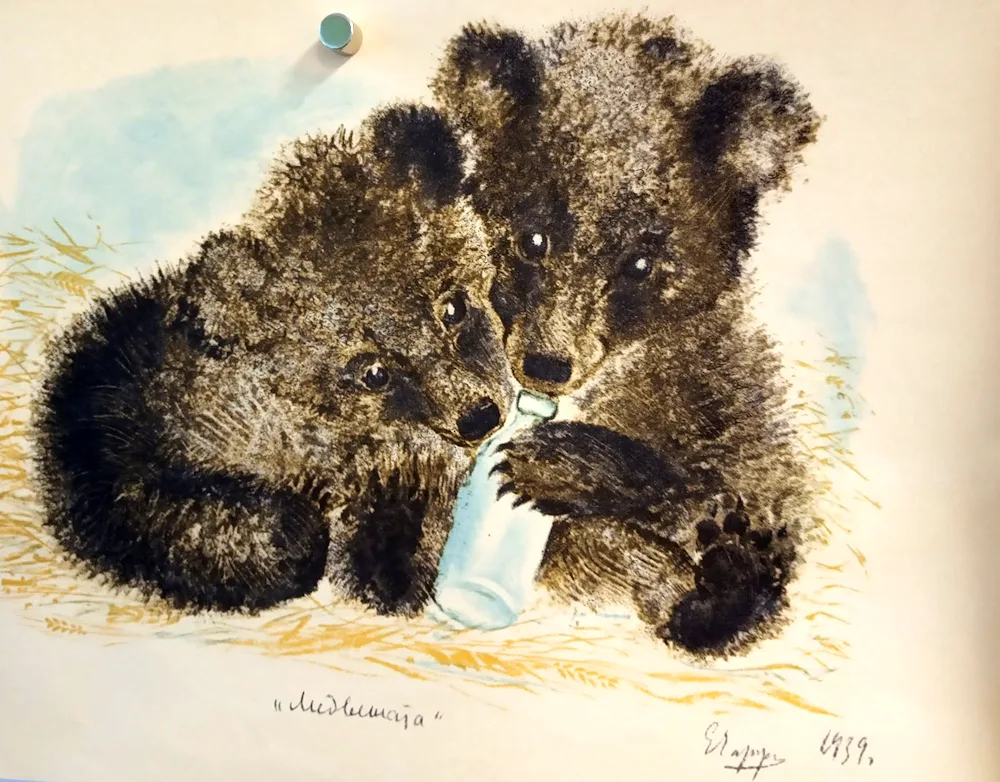 Evgeny Charushin illustrations