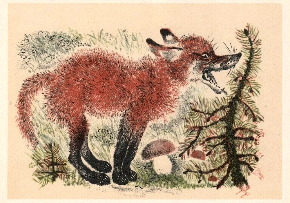 Evgeny Charushin fox