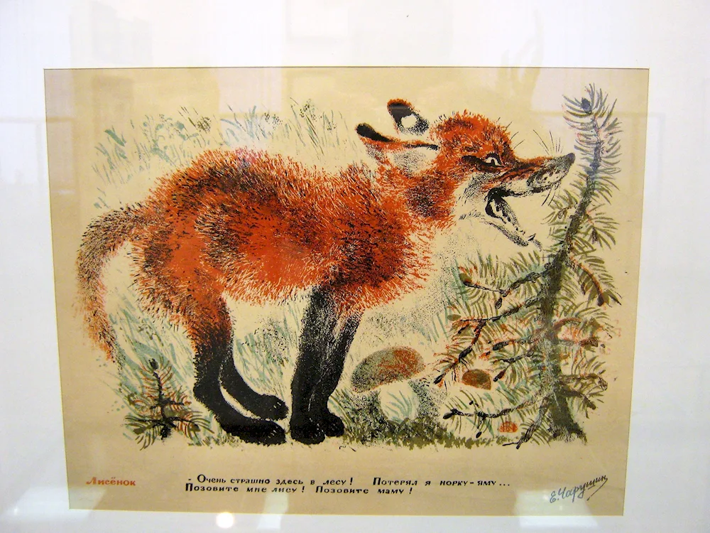 Evgeny Charushin fox