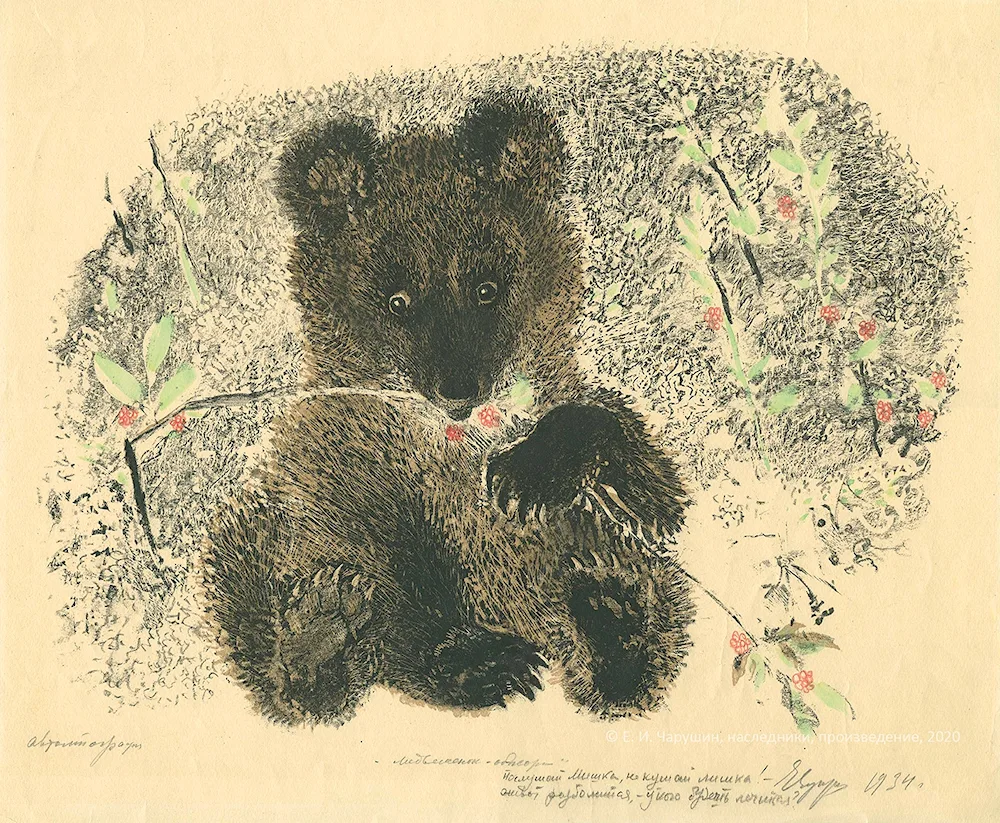 Evgeny Charushin Bear