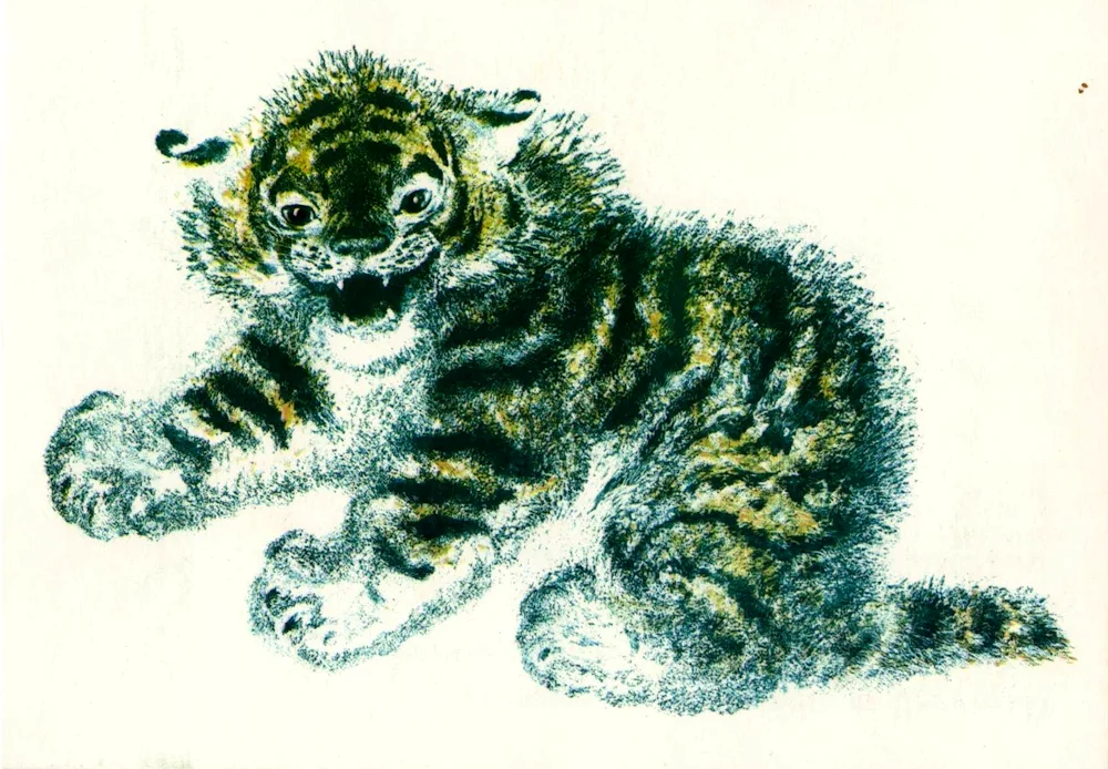 Evgeny Charushin Tiger cub