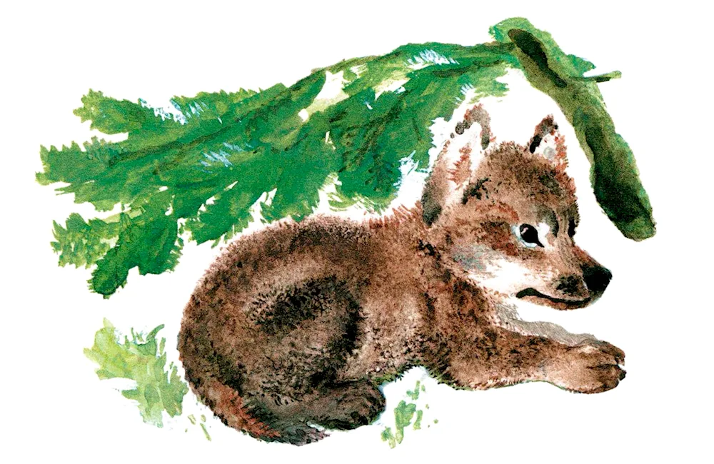 Evgeny Charushin Wolfie
