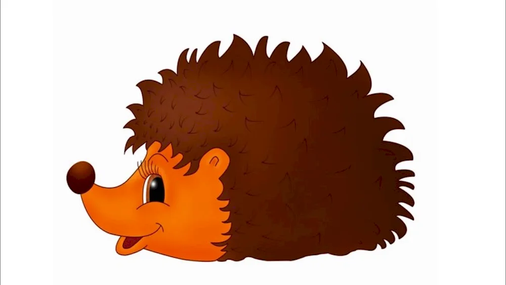 Hedgehog for kids