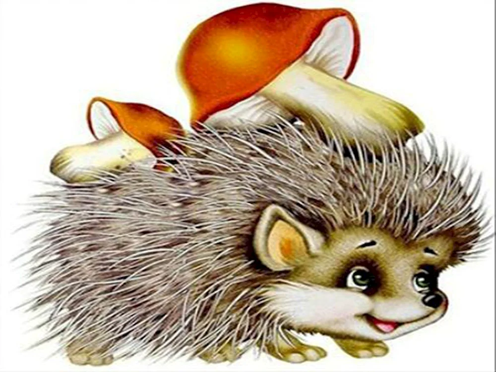 Hedgehog for kids