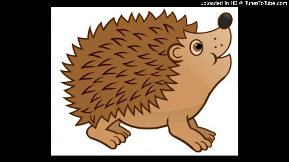 Hedgehog for children