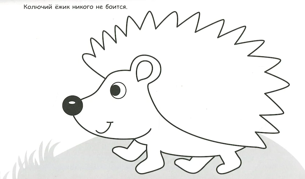 Prishvin hedgehog