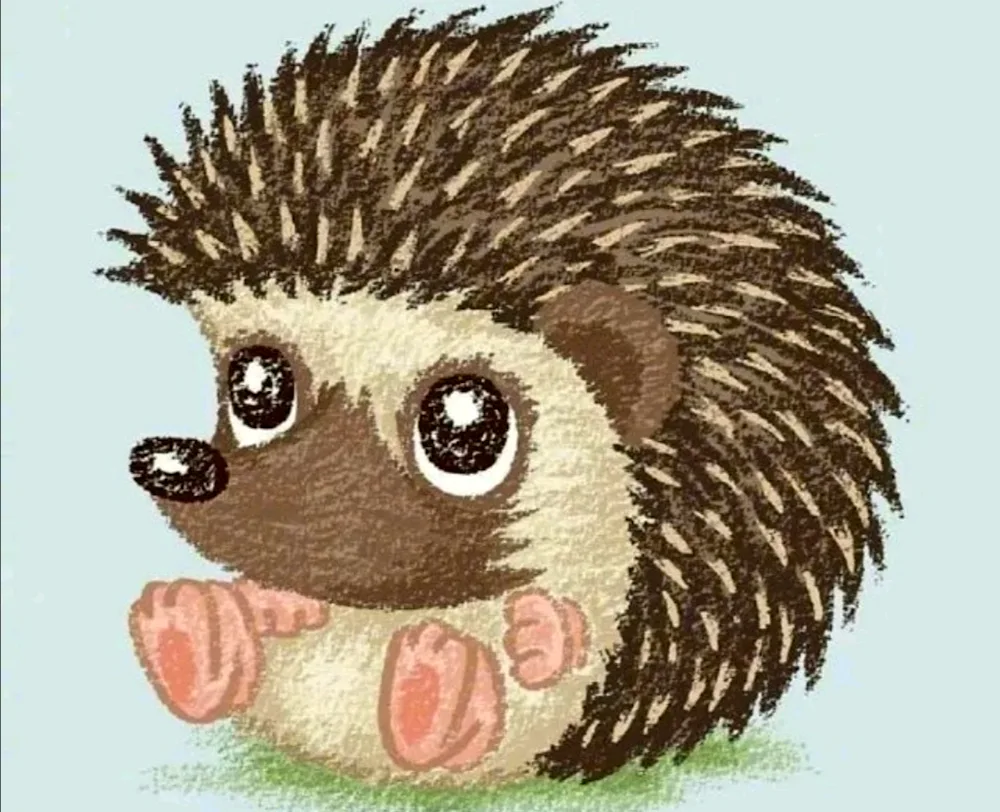 Hedgehog cartoon