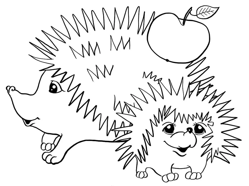 Hedgehog colouring