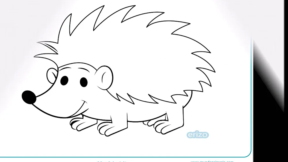 Hedgehog pencil drawing