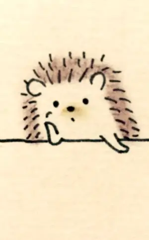 Hedgehog drawing