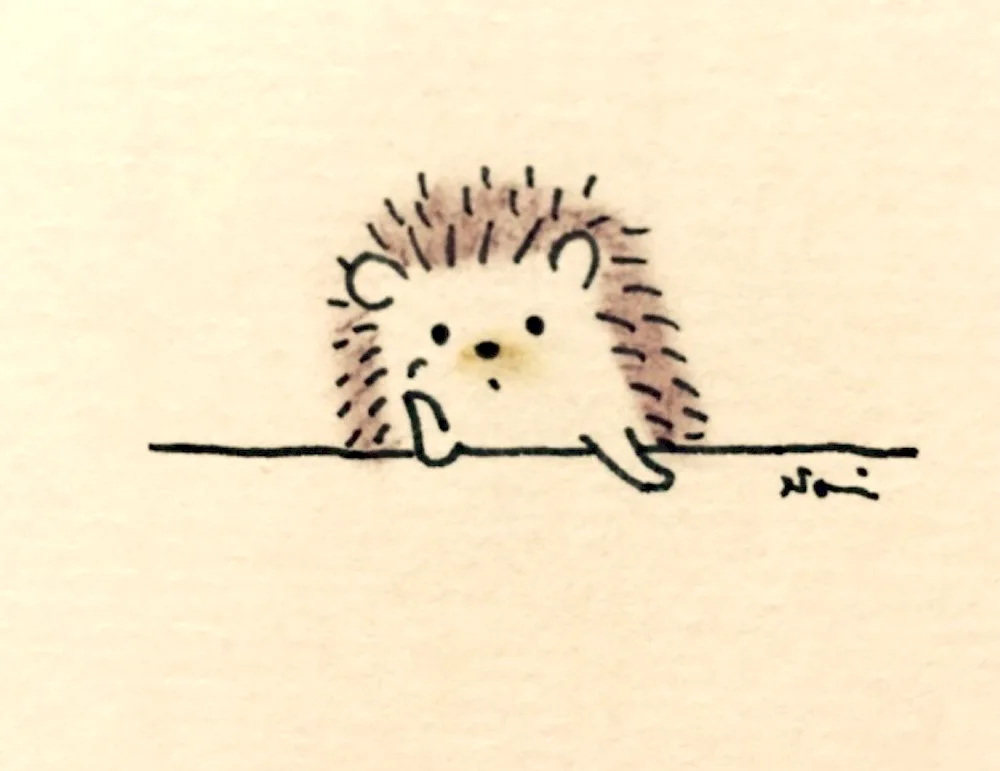 Hedgehog drawing