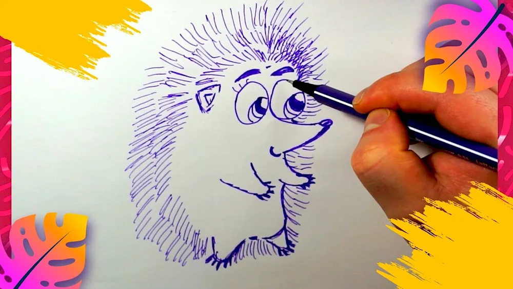 Hedgehog reference