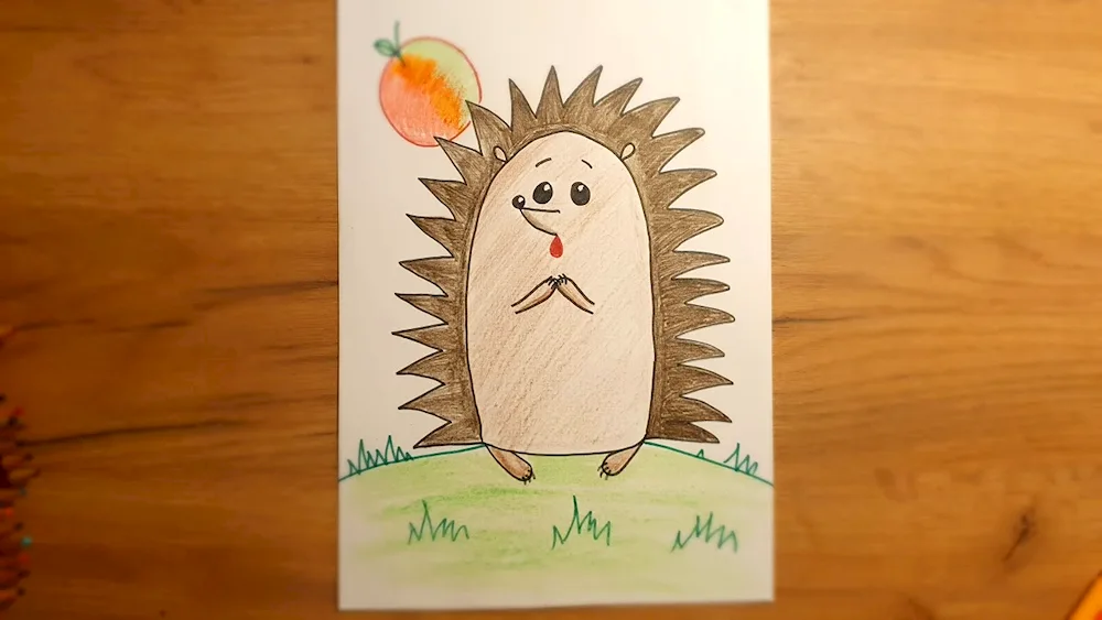 Hedgehog drawing