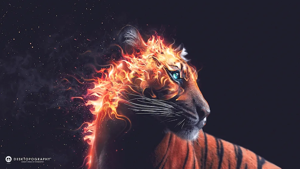 Fiery Lion