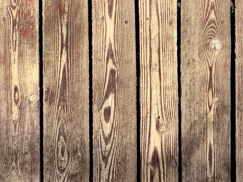 Wood texture