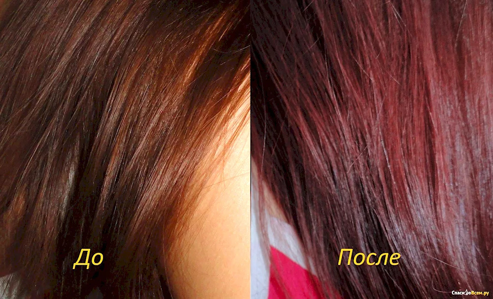 Copper Cagtan Mahogany