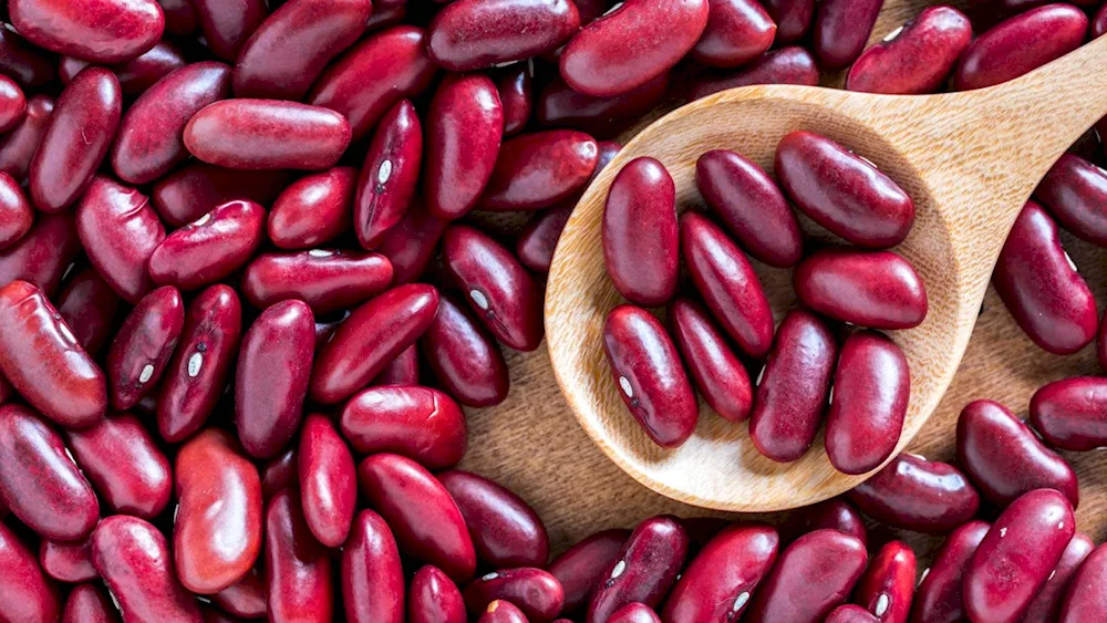 Red Speckled Kidney Beans Bean