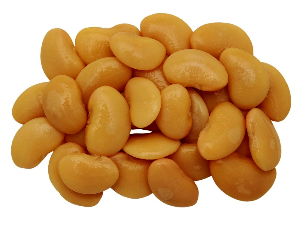 Common Bean