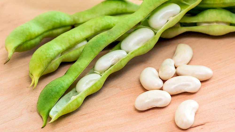 Beans. Green pea in pods