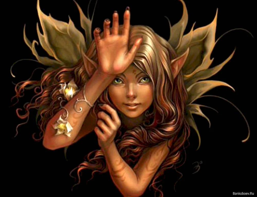 Fairy the Legend of Zelda