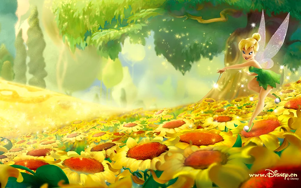 Fairy Fairies