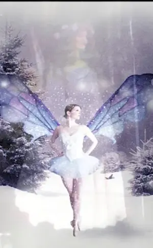 Winter Fairy