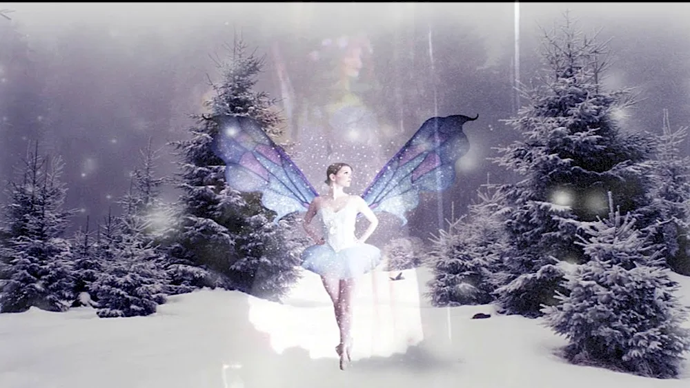 Winter Fairy