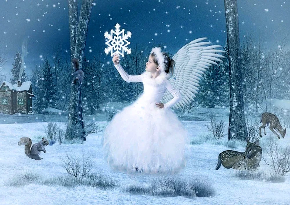 Winter Fairies