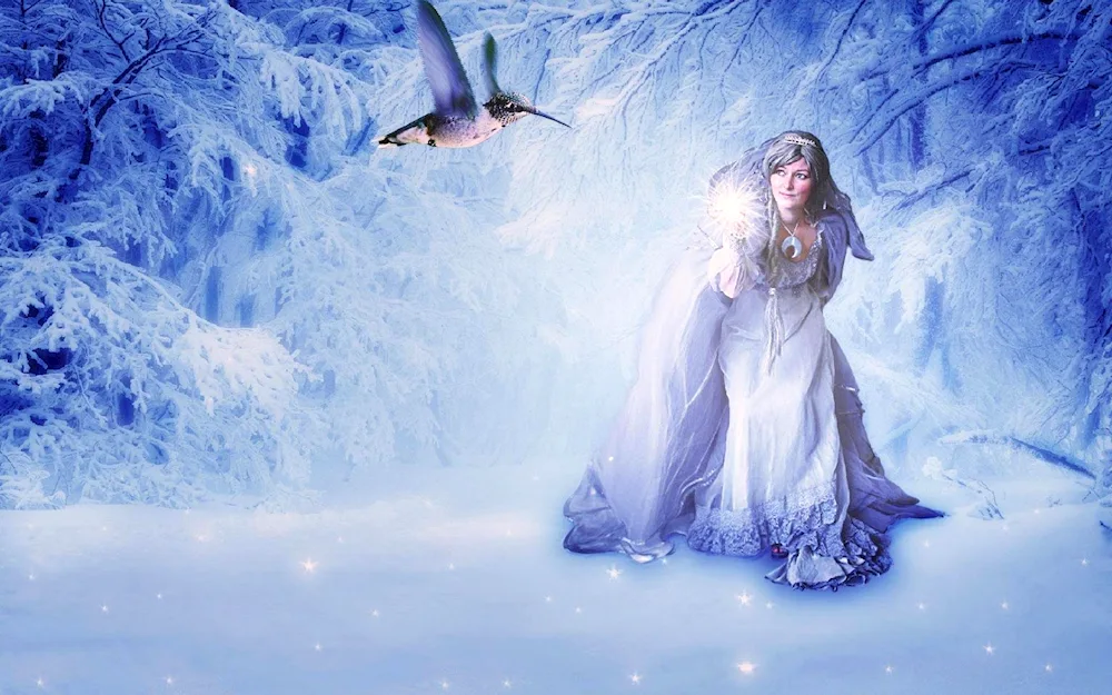 Winter Fairy