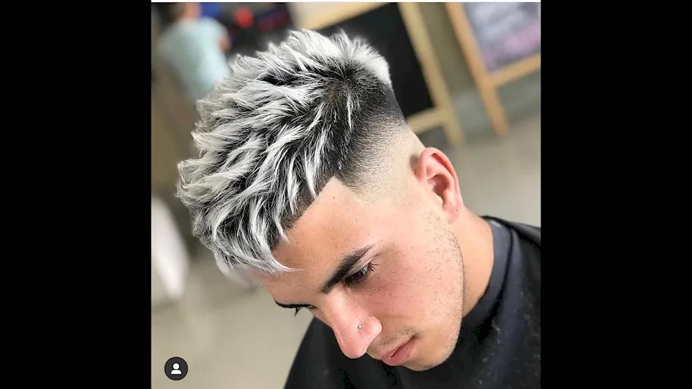Fade half-box Hedgehog