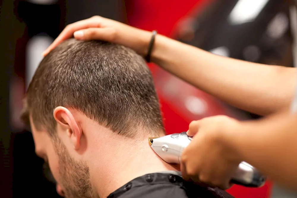 Zayn Malik bald