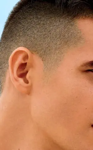 Fade half-box hedgehog