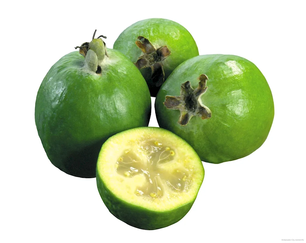 Little green citrus