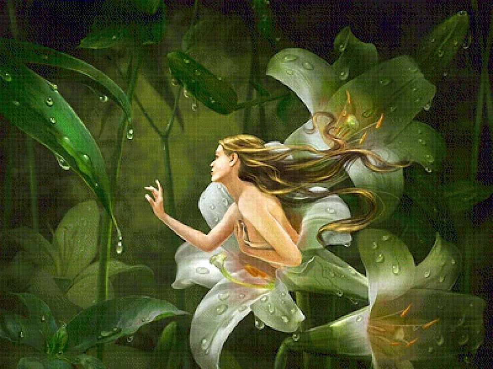 Fairy Sylphs