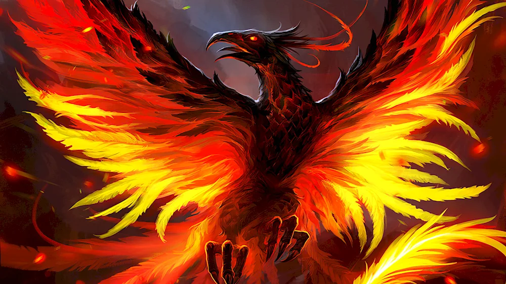 Phoenix Phoenix Rising from the Ashes