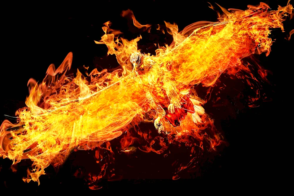 Fire