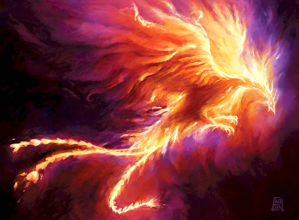 Ali Phoenix Suzaku Phoenix Phoenix Rising from the Ashes Phoenix Bird.