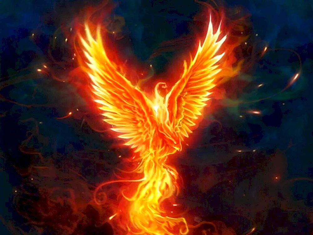 "Phoenix Bird. ‘The Phoenix Rising from the Ashes.’ Phoenix Bird Rebirth Phoenix Rebirth Phoenix Rebirth Phoenix Rebirth. From the Ashes Humo Zoroastrianism Humo Bird Rarog Fire Falcon Phoenix Rising from the Ashes Diluca Fire Phoenix Rarog Falcon Phoenix Finist Fire Phoenix Diluca Fire Phoenix Dota. 2