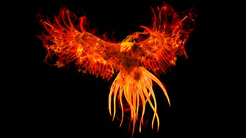 The Firebird Rarog